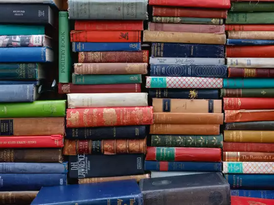 Club de lecture Lumi