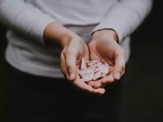 ریکی لیول 1 سوال و جواب