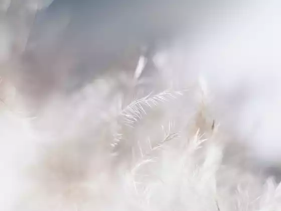 Remote Healing for Higher Consciousness Chakra - Multilingual