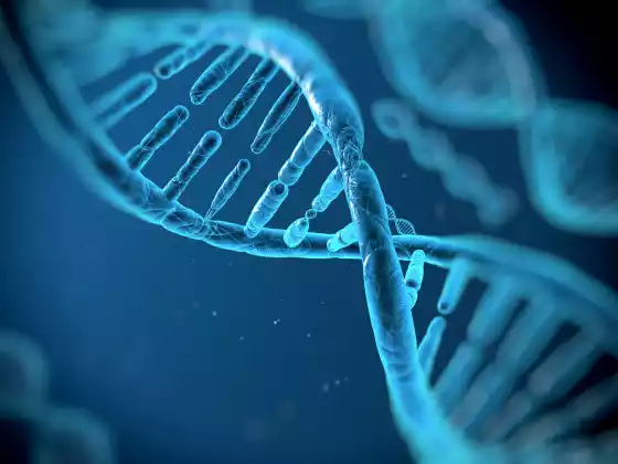 Menemukan DNA*