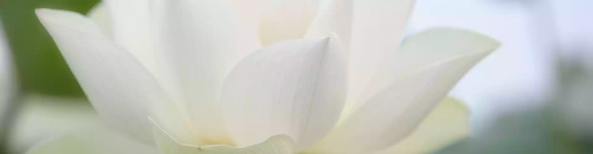 Penyembuhan Reiki Jauh selama 33 Minit - Online Class by Jamie Butler