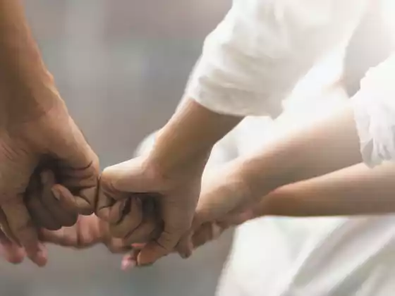 Mejores prácticas para colaboraciones exitosas