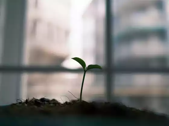 エネルギーヒーリングがどのようにして物理的なものになるのか ウェビナー 1