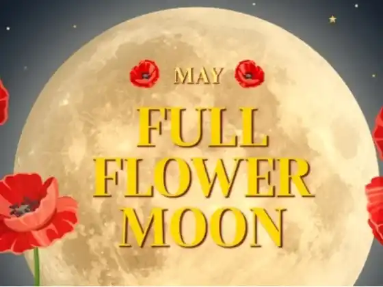 Meditasi Bulan Penuh
