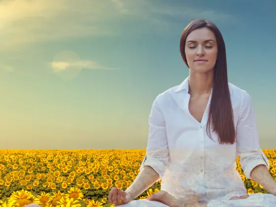 سمر سولسٹیس سمپوزیم