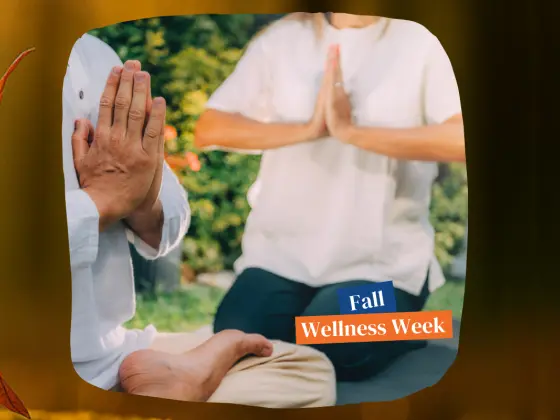 Reiki'nin Gerçek Hikayesi (Uygulamanızı Geliştirin)