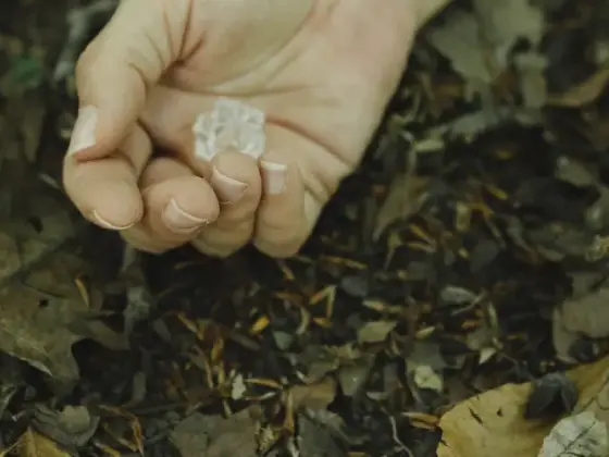 Guarigione Reiki a distanza - Equinozio d'autunno e stagione delle eclissi